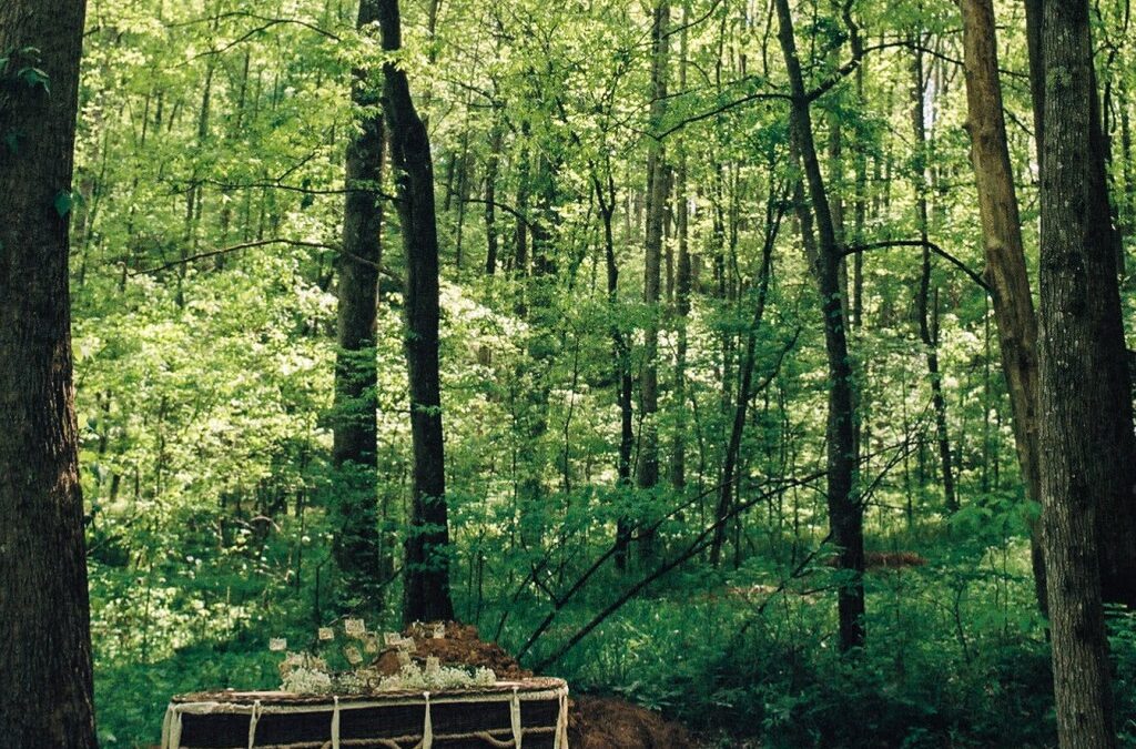 Cuando deje este mundo, que sea de forma ecológica